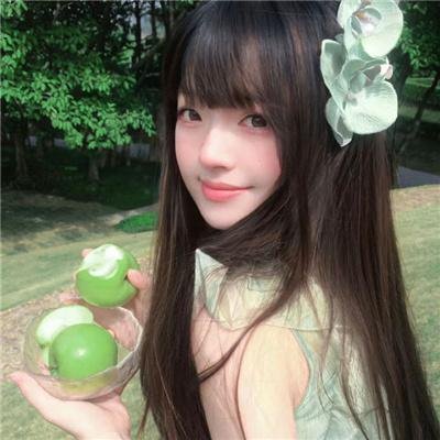 新夏威夷神探第五季