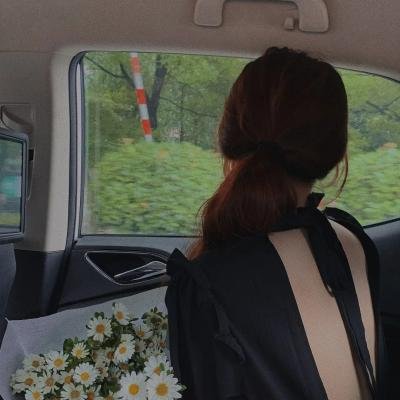 鲁冰花