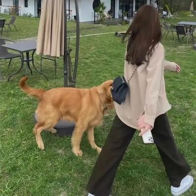 狗日子